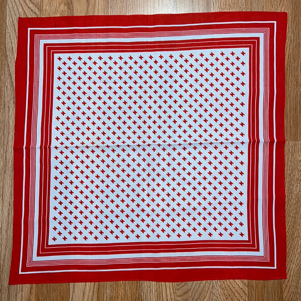 Printed Scarf Nwot